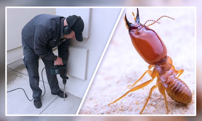 https://richmondkypestcontrol.com/